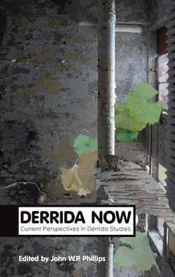 Derrida Now 