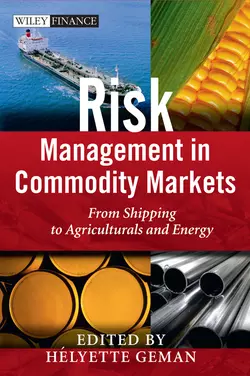 Risk Management in Commodity Markets 