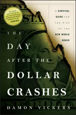 The Day After the Dollar Crashes, Damon Vickers