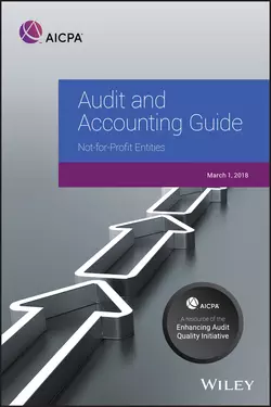 Auditing and Accounting Guide 