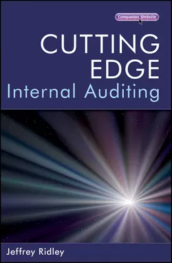 Cutting Edge Internal Auditing 