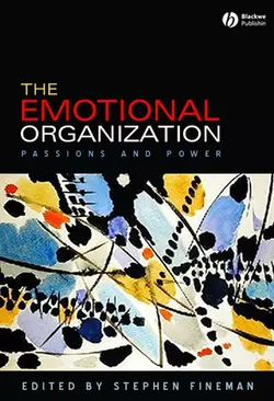 The Emotional Organization 