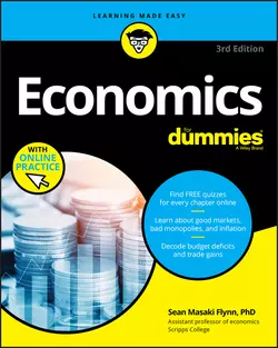 Economics For Dummies 