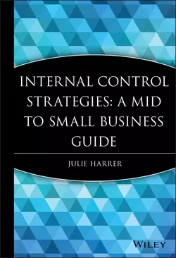 Internal Control Strategies 