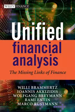 Unified Financial Analysis, Willi Brammertz