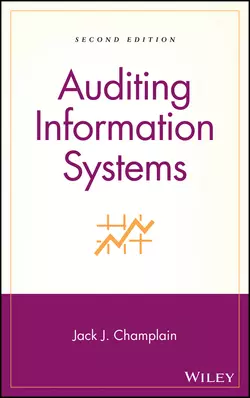 Auditing Information Systems 