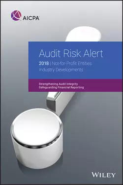 Audit Risk Alert 