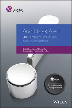 Audit Risk Alert 