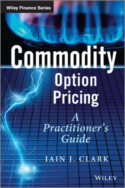 Commodity Option Pricing 