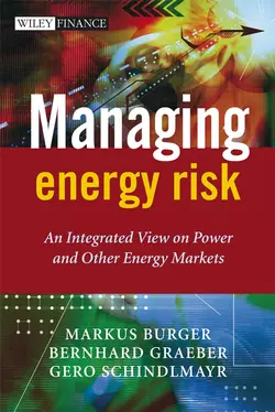 Managing Energy Risk, Markus Burger