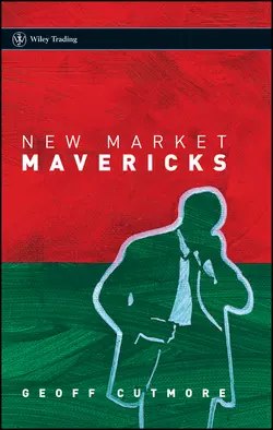 New Market Mavericks 