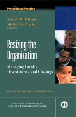 Resizing the Organization, Mitchell Marks