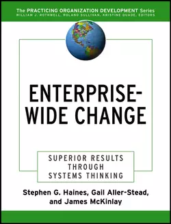 Enterprise-Wide Change, Stephen Haines