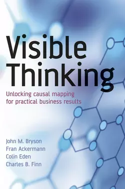 Visible Thinking, Fran Ackermann