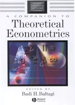 A Companion to Theoretical Econometrics 