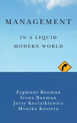 Management in a Liquid Modern World, Monika Kostera