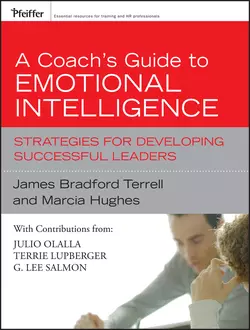 A Coach′s Guide to Emotional Intelligence, Marcia Hughes