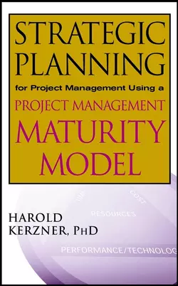 Strategic Planning for Project Management Using a Project Management Maturity Model 