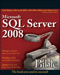 Microsoft SQL Server 2008 Bible, Paul Nielsen