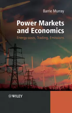 Power Markets and Economics 