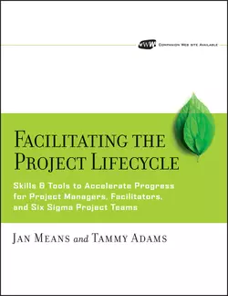 Facilitating the Project Lifecycle, Tammy Adams