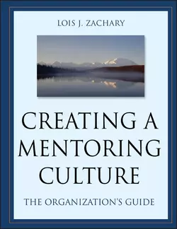 Creating a Mentoring Culture