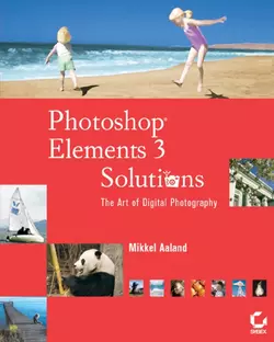 Photoshop Elements 3 Solutions Mikkel Aaland