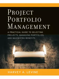 Project Portfolio Management, Harvey Levine