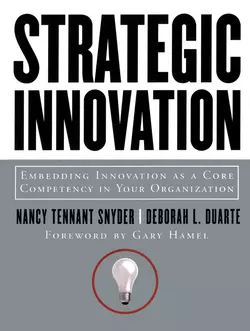 Strategic Innovation, Nancy Snyder