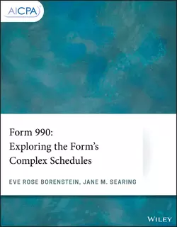 Form 990 Eve Borenstein и Jane Searing