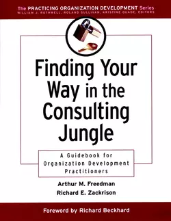 Finding Your Way in the Consulting Jungle, Arthur Freedman