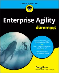 Enterprise Agility For Dummies 