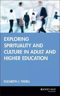 Exploring Spirituality and Culture in Adult and Higher Education 