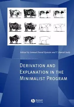 Derivation and Explanation in the Minimalist Program, Samuel Epstein