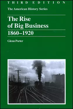 The Rise of Big Business