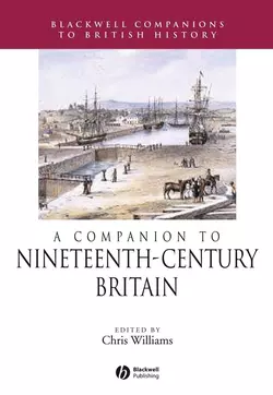 A Companion to Nineteenth-Century Britain 