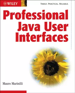 Professional Java User Interfaces 