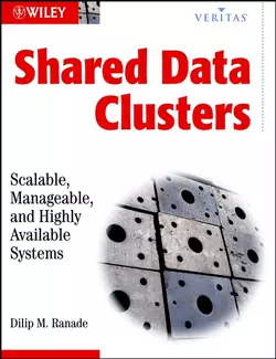 Shared Data Clusters 