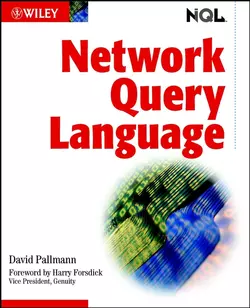 Network Query Language (NQL) 