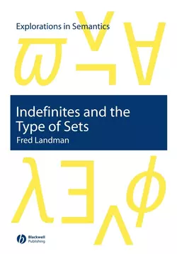 Indefinites and the Type of Sets