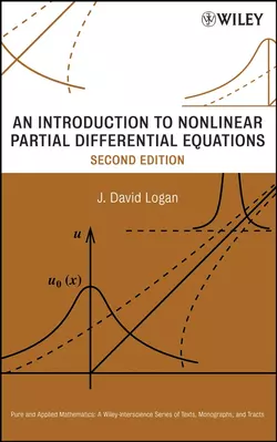 An Introduction to Nonlinear Partial Differential Equations 