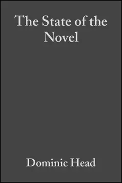 The State of the Novel 