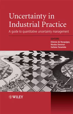 Uncertainty in Industrial Practice Stefano Tarantola и Nicolas Devictor