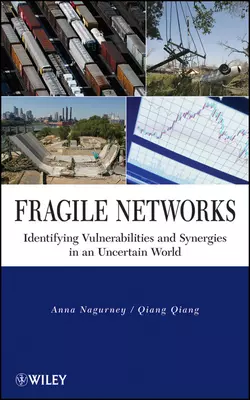 Fragile Networks, Anna Nagurney