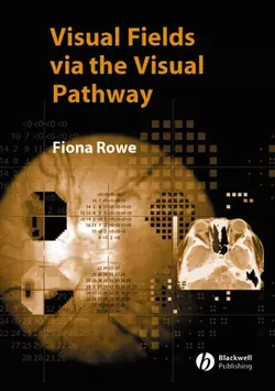 Visual Fields via the Visual Pathway 