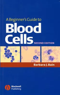 A Beginner′s Guide to Blood Cells 