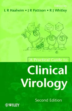 A Practical Guide to Clinical Virology, Richard Whitley