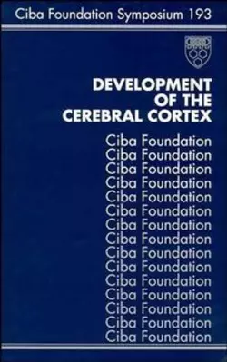 Development of the Cerebral Cortex Gail Cardew и Gregory Bock