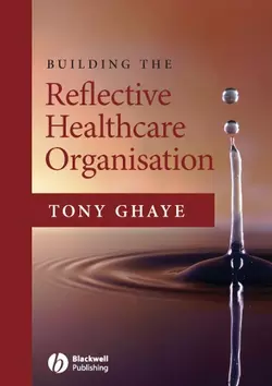 Building the Reflective Healthcare Organisation 