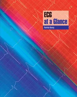 ECG at a Glance 